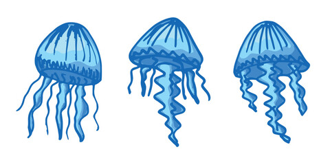 Obraz premium Set of hand drawn jellyfish doodle Sea animal illustration Cute marine underwater creature Medusa sketch clipart Single element for web, design, decor, children's print