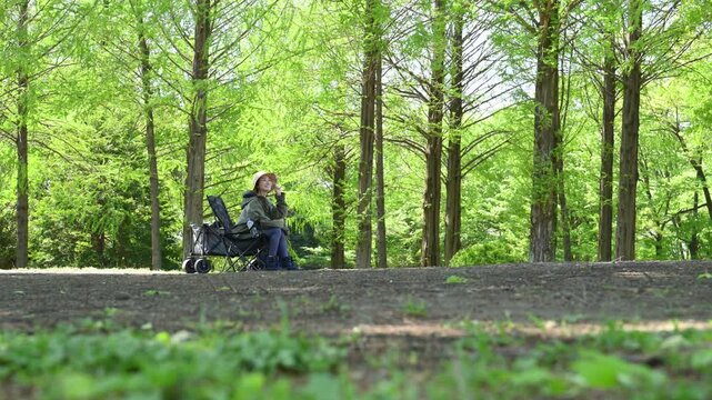 新緑の森の中でキャンプチェアに座るでくつろぐ笑顔の女性のソロキャンプアウトドア　景色を眺める広角