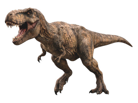 Tyrannosaurus rex dinosaur realistic predator model with open jaws prehistoric concept