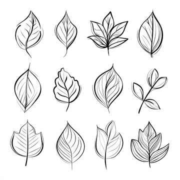 Minimalist Leaf Line Art Collection. Nature, Ecology, Botany.