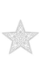 Obraz premium Decorative Ornamental Star Illustration with Intricate Swirls and Patterns