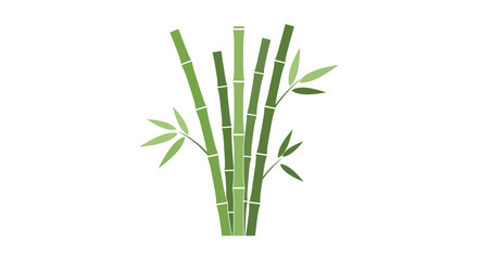 Obraz premium Green bamboo stalks with leaves, isolated on white background, natural element