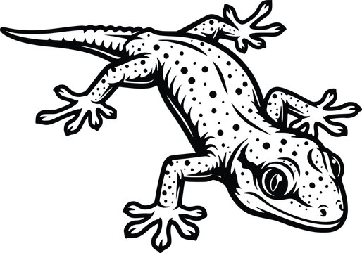 Spotted Gecko Hand Drawn Vector Line Art Black and White Lizard Illustration Top View