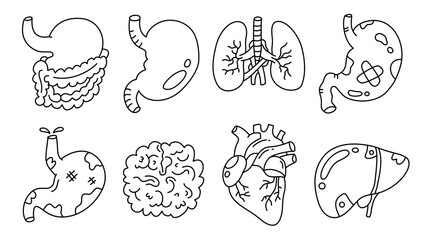 Fototapeta premium Professional anatomical illustration showing heart lungs and stomach for medical educational purposes