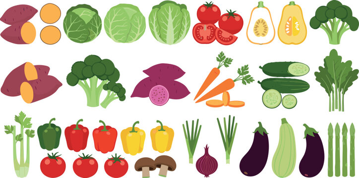 Various Vegetables including Sweet Potatoes, Broccoli, Tomatoes, and More for Healthy Eating, Agriculture, and Culinary Illustrations
