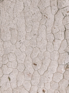 Aerial view of the unique hexagonal cracked sandstone formations of White Pocket under soft daylight Coconino County, Arizona, United States.