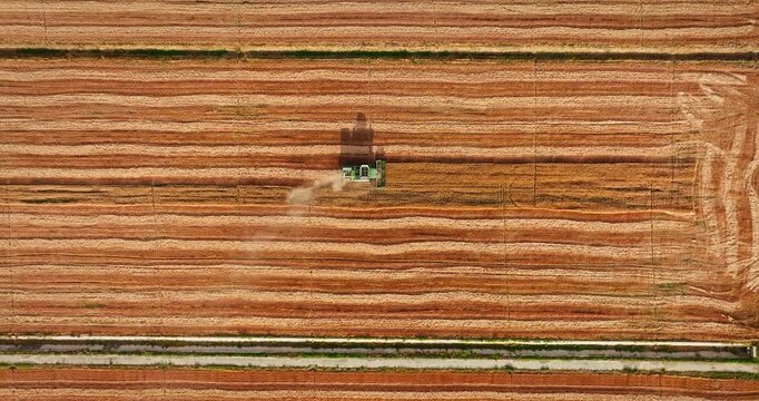 Aerial top down view of combine harvester harvesting ripe wheat in a field during agricultural harvest season