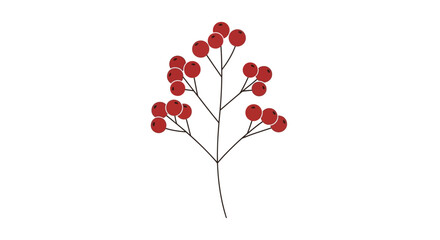 Vector red berry branch, minimalist illustration, plant element, graphic design © MSTMANWARA