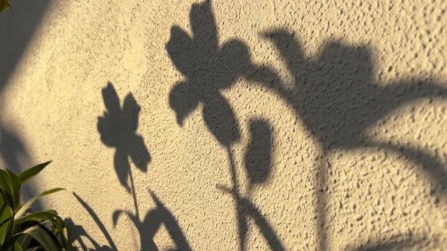 Drone aerial view of a calm, clear blue ocean reflecting sunlight, slow motion travel clip