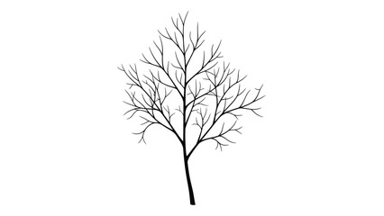 Fototapeta premium Detailed black silhouette of a bare tree with numerous branches and twigs is shown in a clean minimalist style on a white background.