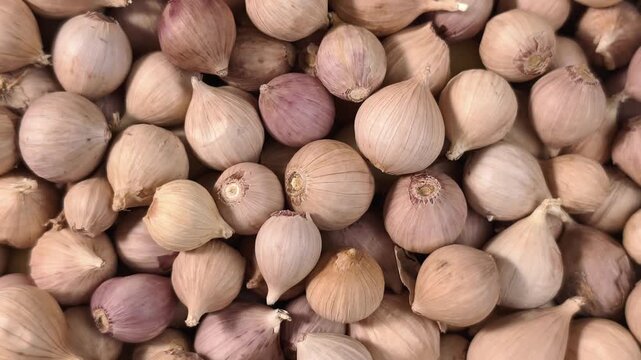 Many cloves of unpeeled solo garlic