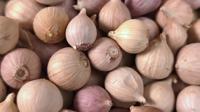 Many cloves of unpeeled solo garlic