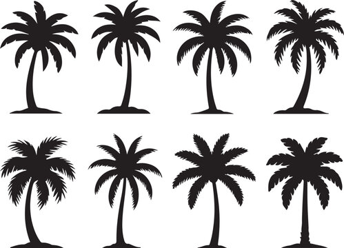 Black palm tree silhouettes set.