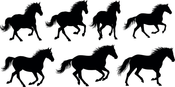 galloping horses in dynamic motion flat design vector illustration