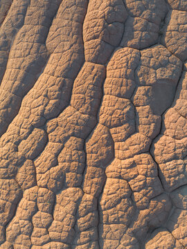 Aerial view of the unique brain rock sandstone formations with intricate polygonal cracking patterns at White Pocket Coconino County, Arizona, United States.