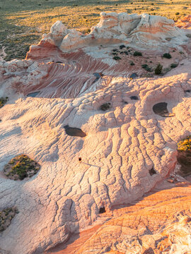 Aerial view of the White Pocket rock formations featuring brain-like textures, orange sandstone, and small water pools with a person walking in Coconino County, Arizona, United States.