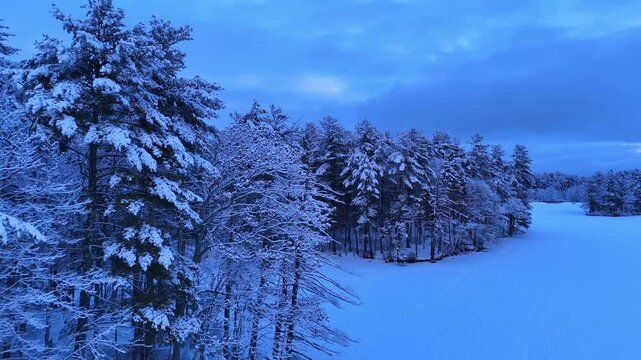 Drone view over vast snow-covered forest and frozen lake at dusk with colorful winter sky in Harold Parker State Forest, Massachusetts, USA. Aerial forward ascending