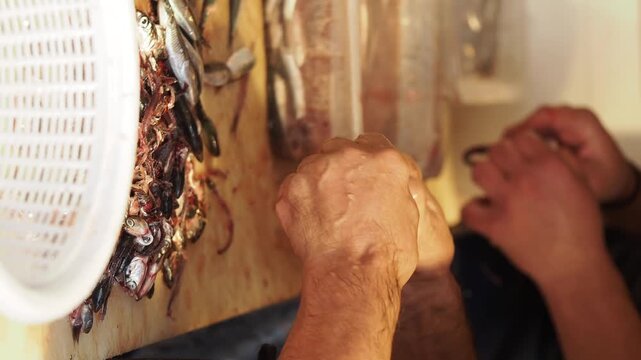 Skilled hands of fishmongers meticulously prepare fresh fish for market, close-up shot.