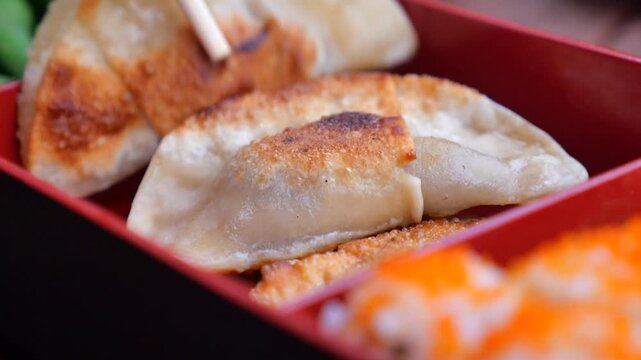 Close up of chopsticks picking up crispy fried dumplings from a bento box meal.