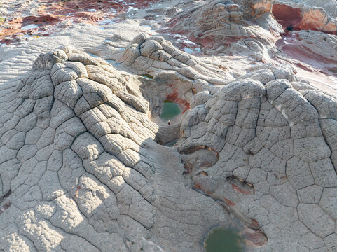 Aerial view of the unique White Pocket rock formations with brain-like textures and small green pools of water in Coconino County, Arizona, United States.