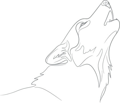Minimalist single line drawing of a wild wolf head looking up to the sky while howling loudly in a creative black and white vector art style perfect for modern graphic design projects