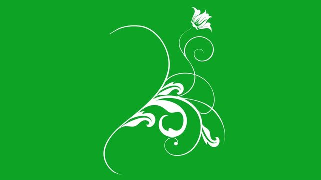 White floral vine drawing animation on green screen for elegant wedding overlays