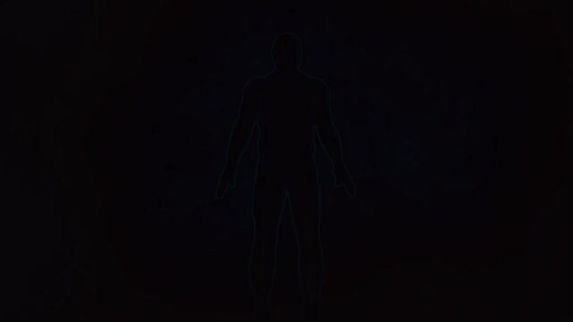 Unicellular and multicellular organisms