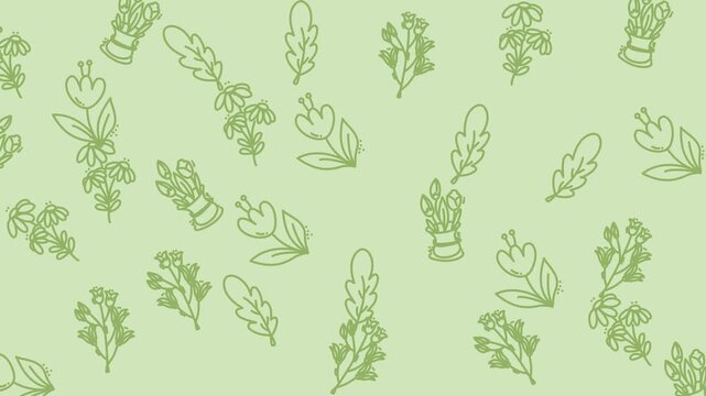 Gentle Plant Leaf Pattern Background For Video.