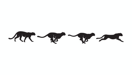 black and white silhouette set of cheetah very high quality vector illustration. © dinesh