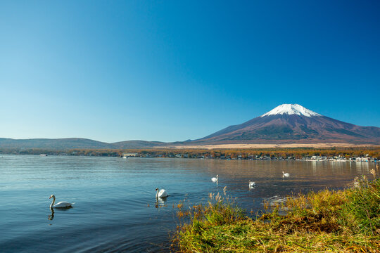 Yamanakako Lake and Mount Fuji, Japan