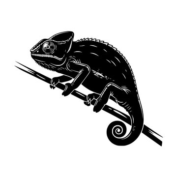 A black chameleon sitting on a branch Vector, illustration