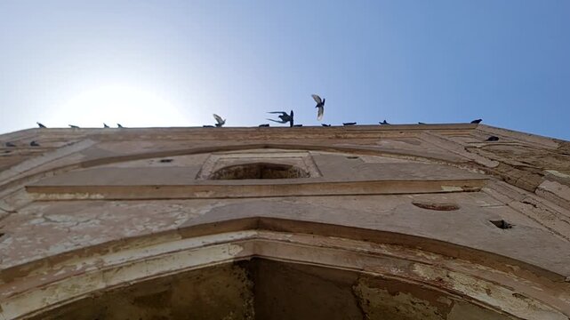 Slow Motion Video of Pigeons Flying at  Ancient Kabuli Bagh Masjid in Panipat India