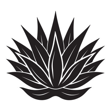 Black agave plant silhouette icon with sharp pointed leaves for design and decoration purposes  agave plant