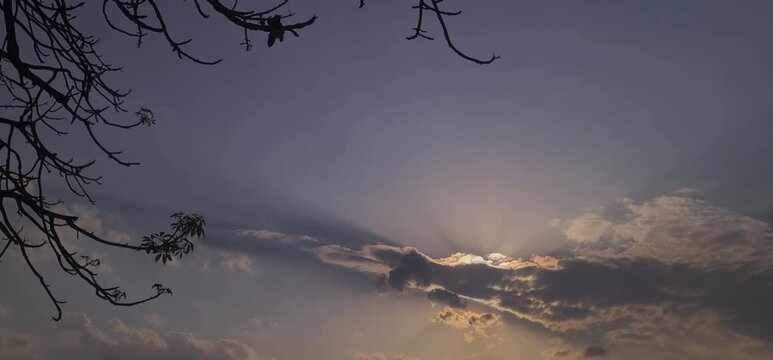 Dramatic Sunset Sky with Sun Rays Through Clouds and Tree Silhouette in India