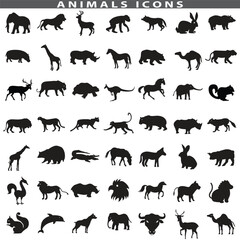Fototapeta premium Animal silhouette collection. Set of black animal silhouette. Animal icons. Mammal, fish, insects, birds, reptiles silhouette collection. Wild, domestic animals icons