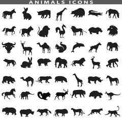 Obraz premium Animal silhouette collection. Set of black animal silhouette. Animal icons. Mammal, fish, insects, birds, reptiles silhouette collection. Wild, domestic animals icons