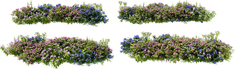Obraz premium Shrubs and flower on a transparent background 