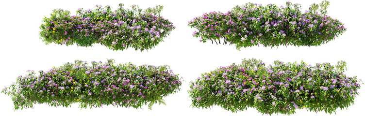Naklejka premium Shrubs and flower on a transparent background 