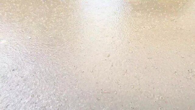 Raindrops falling gently into a calm water surface, creating continuous circular ripples that expand outward in perfect patterns. 4k video