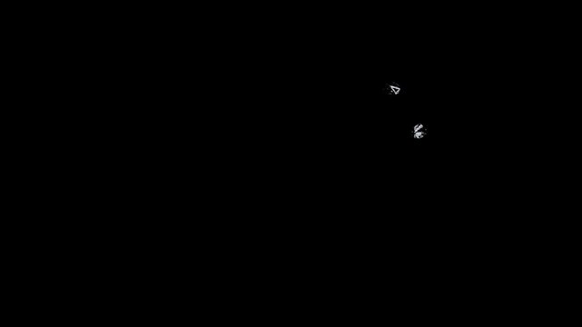 Collection of eight black background broken glass crack animations for screen-blend overlay. White shattered patterns progress from nothing to full fracture. Essential toolkit for editing and VFX.
