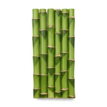 A bundle of fresh green bamboo stalks arranged neatly on a white background