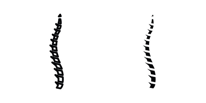 Spine Bone icon editable designs collection. black and white icons