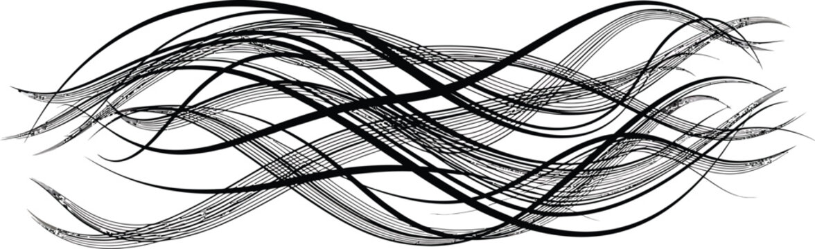 Black Lines Waves Isolated on White Background