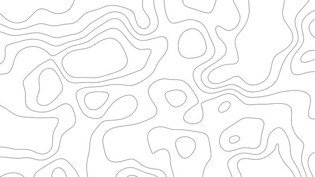 Animated topographic contour lines moving abstract background, loop topography