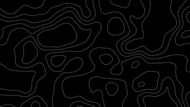 Dynamic topographic map lines animation abstract contour background, loop