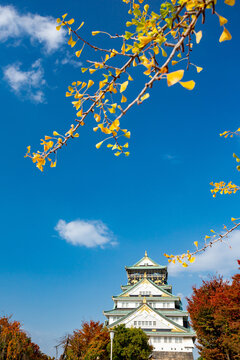 Osaka Castle, Japan