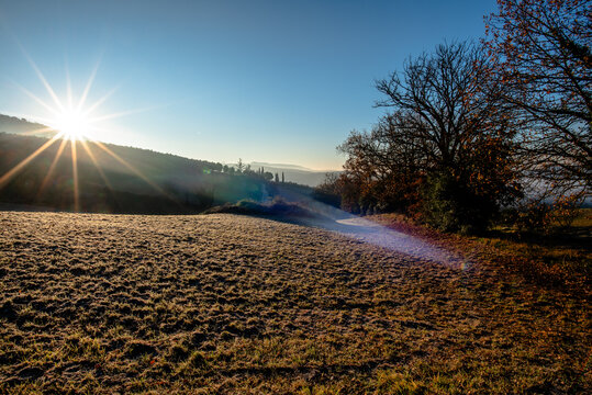 Frosty field with sunrise light and trees in Italy