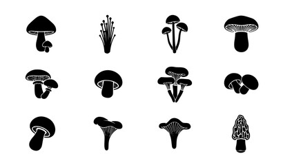 Mushroom silhouette icon grid vector set with elegant botanical nature design © Protima