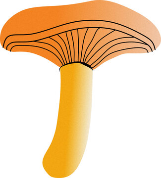 Hand Drawn Mushroom Illustration Isolated on Transparent Background Natural Botanical Sketch, PNG