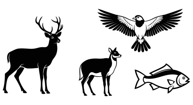 Silhouette illustrations featuring a deer bird and a swimming fish